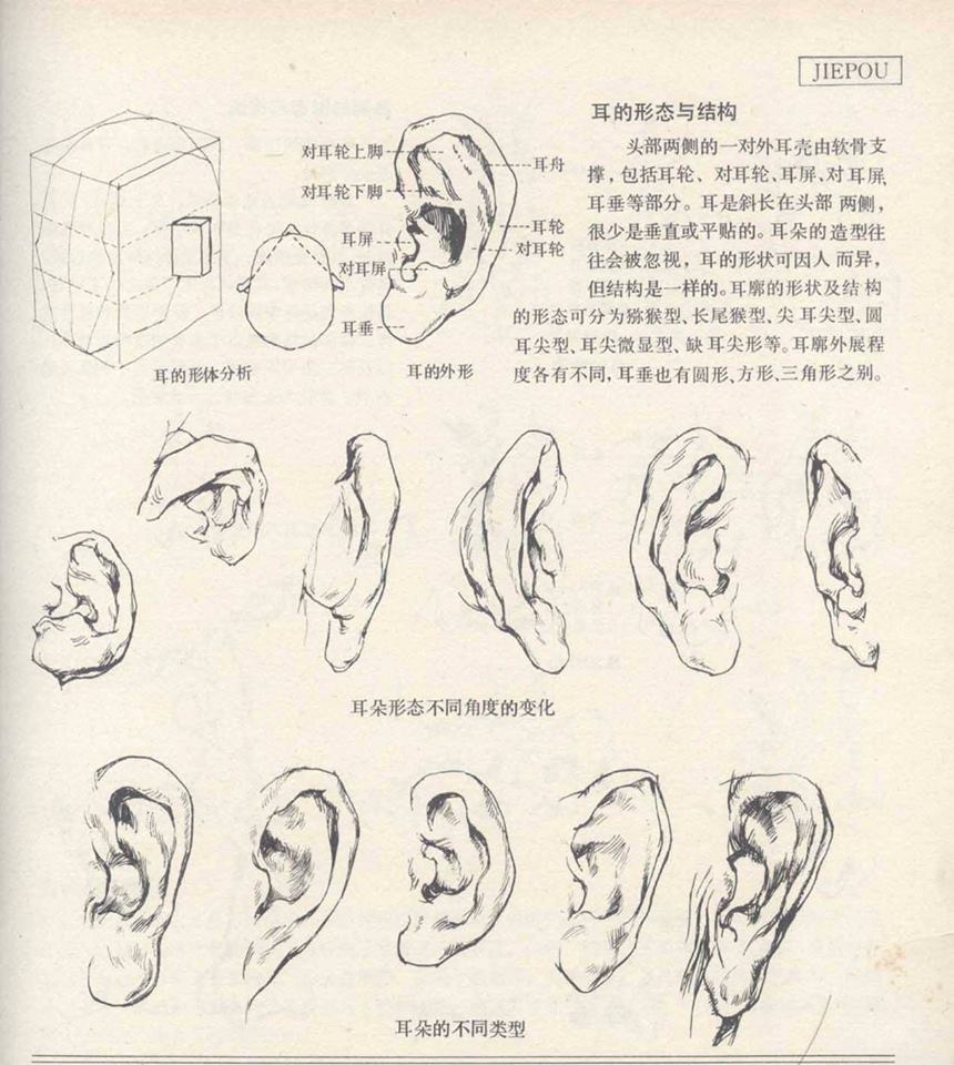 87pd2NxEXeKyeKvMxdOXBWgvZwz95RPl.jpg