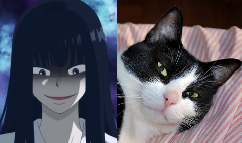 NoX9BMjDZEnYxKPpZWqY36Q0lqGWV24L.png