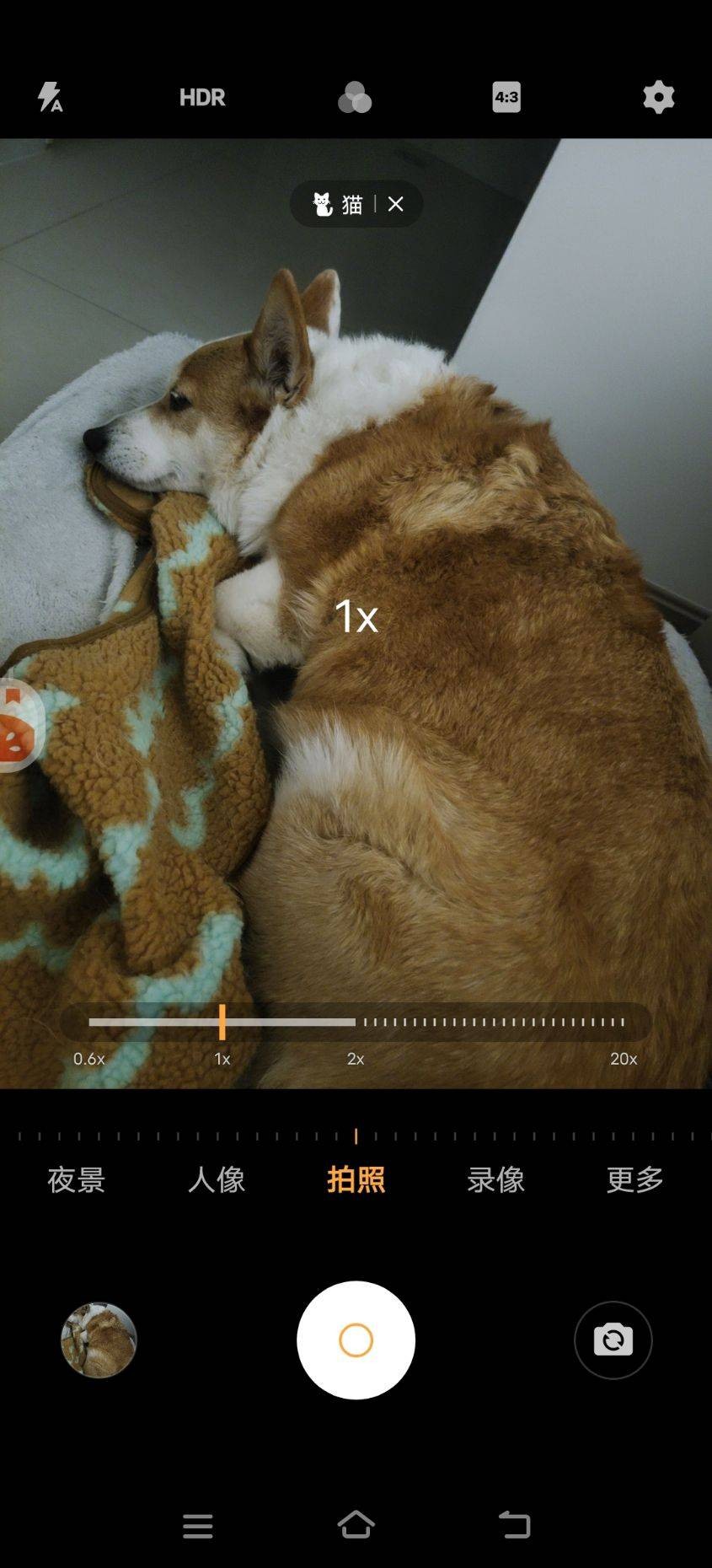 R2LzZK4qBVv9lorJpLrGBYXOMoprJ75g.jpg
